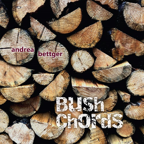 Album cover for Bush Chords